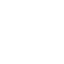 car (2)